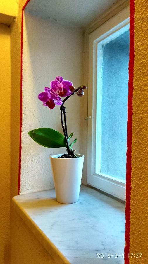 Le Rondini Di San Donato Bed & Breakfast Lucca Eksteriør bilde