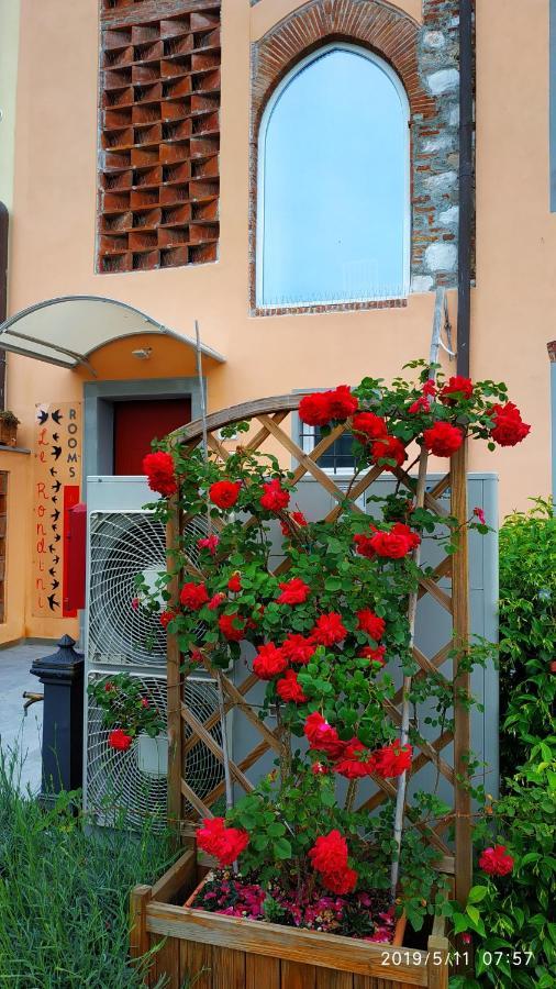 Le Rondini Di San Donato Bed & Breakfast Lucca Eksteriør bilde
